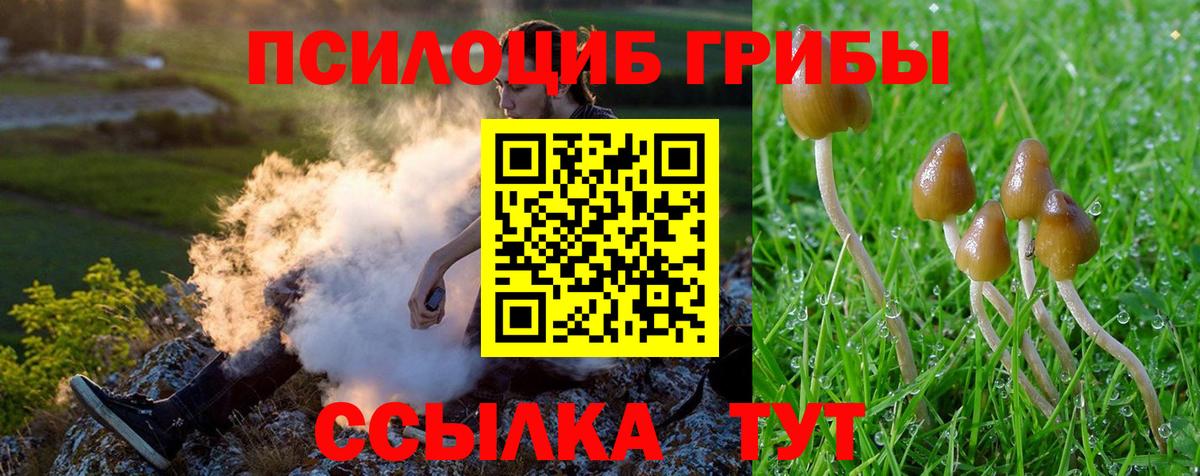 Галлюциногенные грибы Psilocybe  Вход с VPN  хочу наркоту  Мариинск 