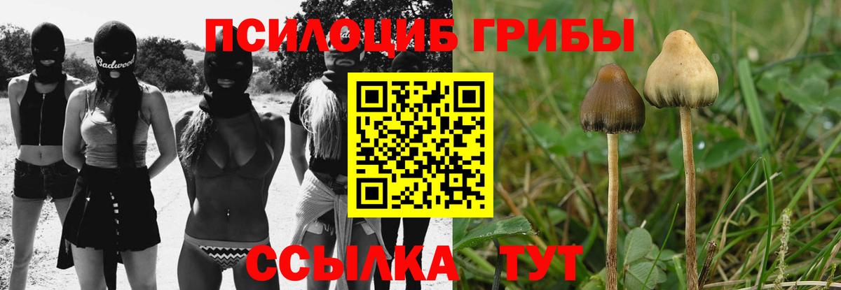 Галлюциногенные грибы мухоморы Мариинск